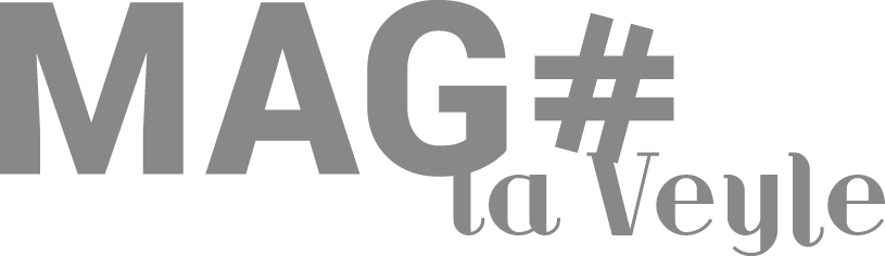 Logo MAG Veyle Gris